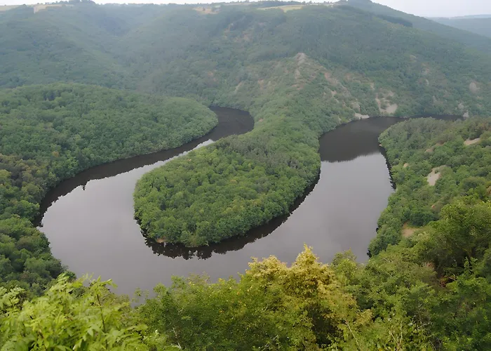 Des Taravelles * Manzat